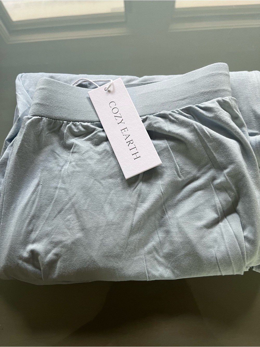 Cozy Earth Women's L Bamboo Stretch Knit Pajama Pant Drawstring Powder Blue NWT